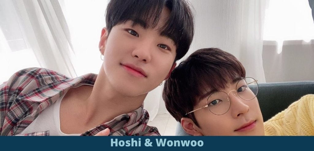 Wonwoo and Hoshi COVID-19