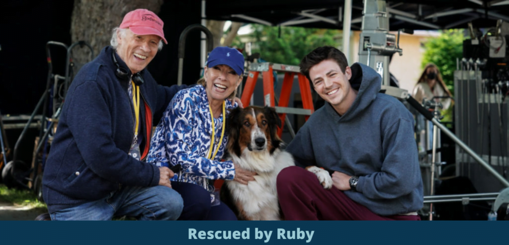 Rescued by Ruby Release Date