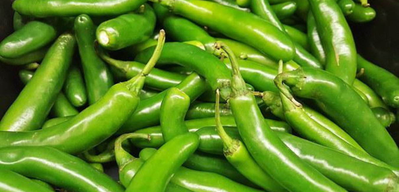 benefits of adding green chilly to diet 1