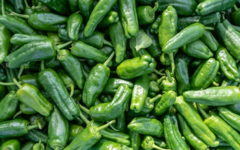 green chillies benefits