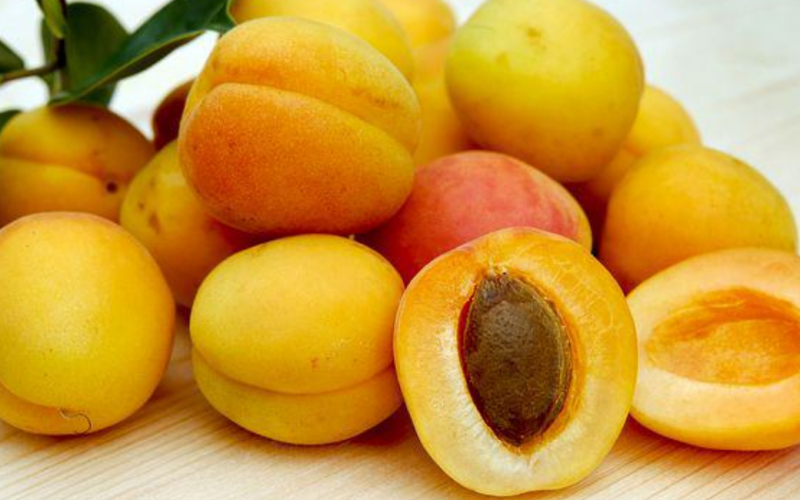benefits apricot
