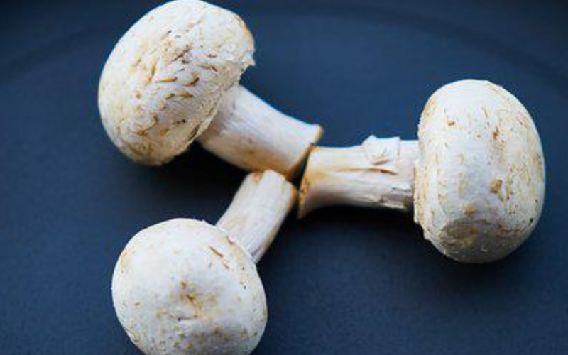 mushroom breakfast benefits