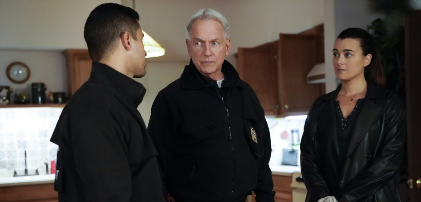 NCIS Season 20: Which cast members are returning for the upcoming season?