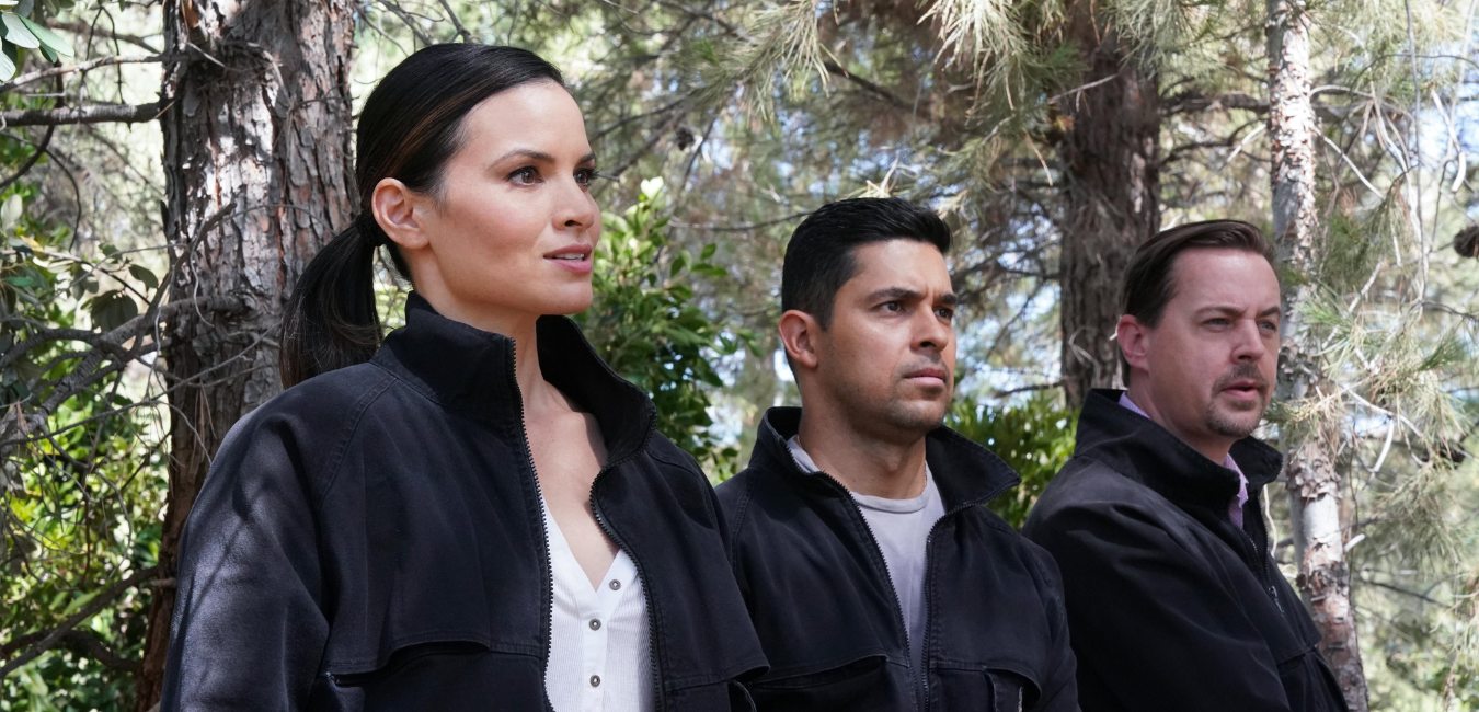 NCIS Season 20 Episode 5: Release date, how to watch, episode details and more