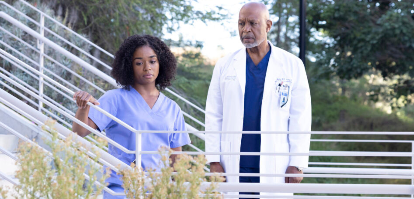 Grey's Anatomy Season 19: When will it be released on Netflix?