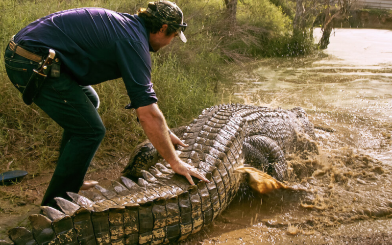 Wild Croc Territory Season 2: When will season 2 be released on Netflix?