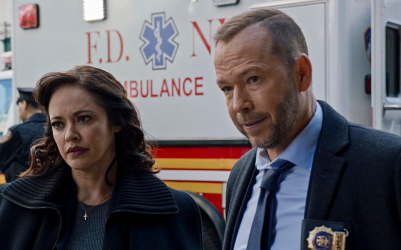 Blue Bloods Season 13: Will the new episodes return in January 2023?