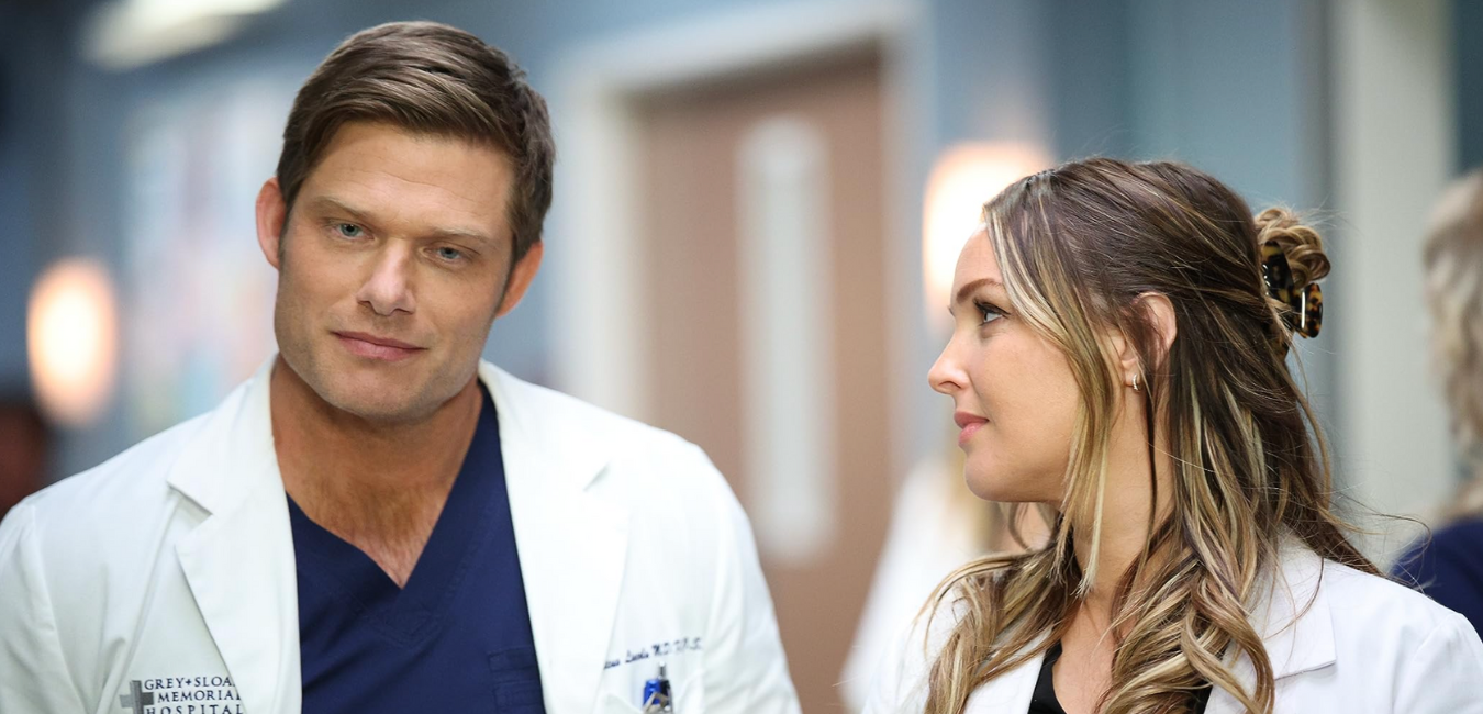 Is Grey's Anatomy Season 20 canceled?