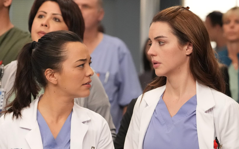Is Grey's Anatomy Season 20 canceled?