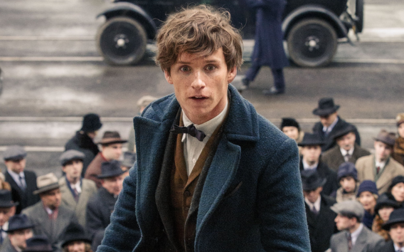 'Fantastic Beasts' director confirms that the Harry Potter spinoff franchise is "Parked," by Warner Bros