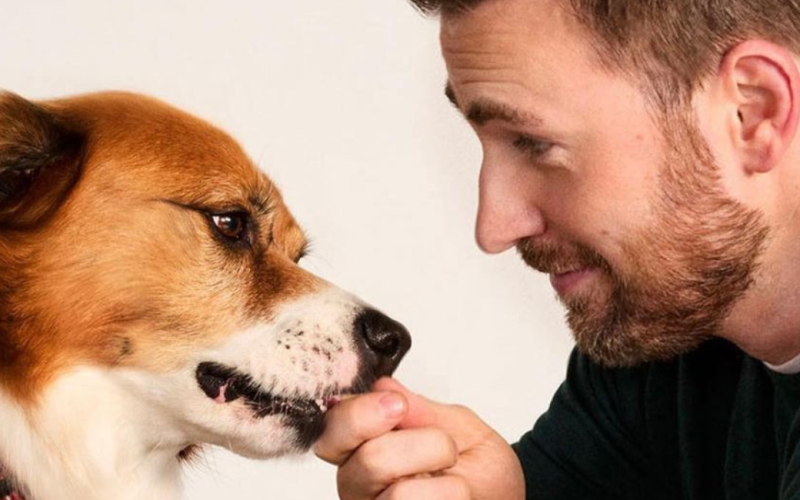 Chris Evans is back on Instagram in support of homeless shelter dogs